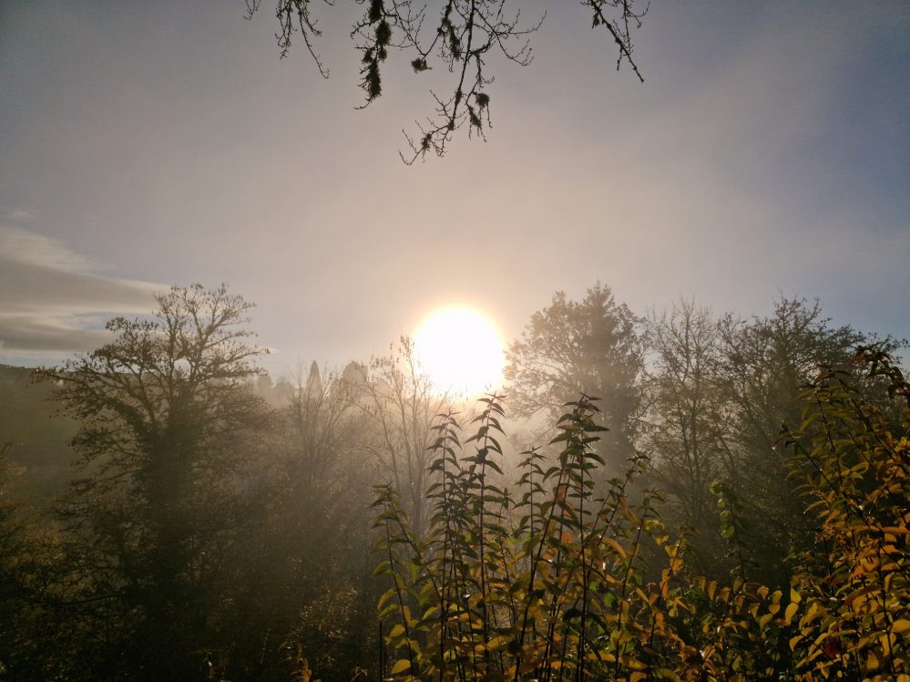 lebendig-fermentieren.de